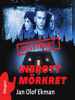 cover image of Inbrott i mörkret